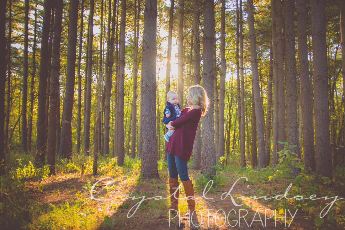 Family Photography in Tall Pine Trees 