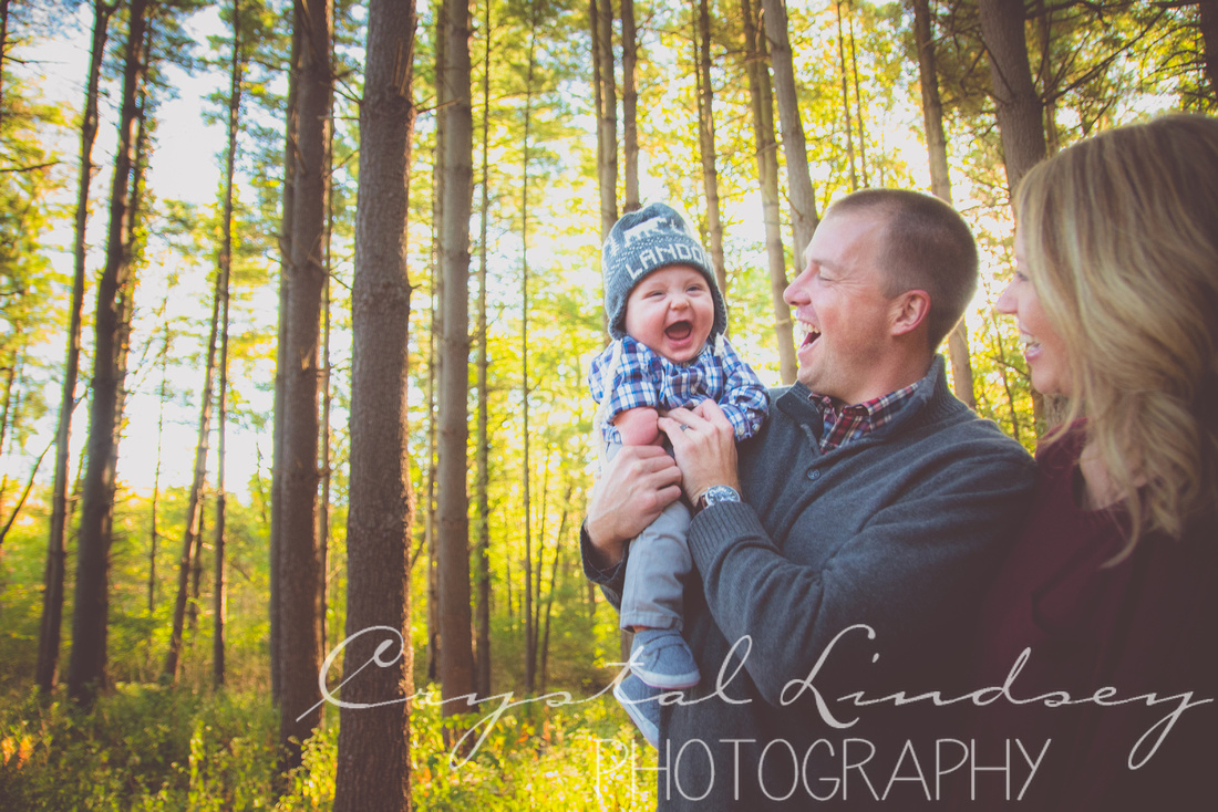 Family Photography in Tall Pine Trees 